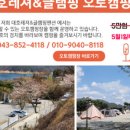 대호레져글램핑 이미지