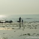 황금노을 이미지