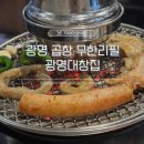 [광명 맛집] 광명대창집 광명새마을시장점_양대창/곱창 무한리필 추천