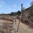 초원농장2 이미지