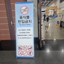 주식회사 오토월드 자동차 | 대구 상상체험 키즈월드 방문 후기, 아이랑 갈만한 실내 테마파크