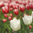 용비쉼터 이미지