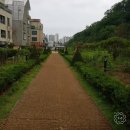숲속마을 이미지