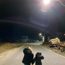 임포비치펜션 이미지