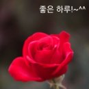 금요일