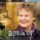 메리에이든 이미지
