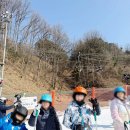 경희대 푸른솔 태권도 | 🥋 마포구 태권도 스키강습, 공덕동 푸른경희태권도가 특별한 이유 5가지