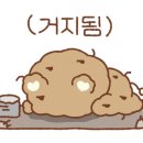 굿데이유통 이미지