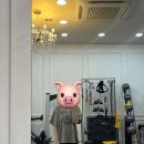 VVIP GYM 이미지