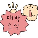 디자인첫봄 이미지