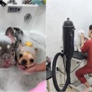 오멍누 이미지