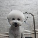 오구오구살롱 이미지