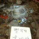 영광수산 이미지
