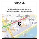 으네살롱 | [샤넬]2024 잠실 아이스링크 링크 예약꿀팁 현장 예약방법,가격 후기
