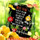 당신의 인생사진 이미지