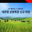 KT목장 이미지