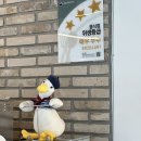 카페채홍 | 오리 아르바이트생이 라떼 만드는 카페, 해상 산책로 근처 거제 소노캄 카페 채홍 방문 후기