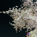 동구 자전거쉼터 이미지