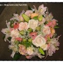 서교초교 이미지