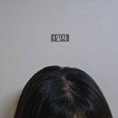 초기탈모 꽉 잡아주는 볼빅 미토 코리아 탈모샴푸 후기