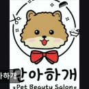 단아하개 | {인천, 애견미용실, 추천!) 단아하개 인천 애견미용실 단아하개, 친절한 서비스