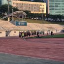 용인대SM복싱클럽 계양구청점 이미지