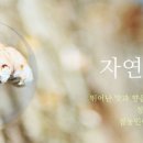 농업회사법인 청정농원(주)