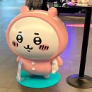 치이카와 팝업 먼작귀 페스타 in 용산 후기 및 부산 팝업 정보