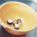 온포유 포레스토랑 이야기👩‍🍳👨‍🍳