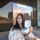 서프라이즈보드카페 이미지