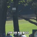 임성재 선수의 매직 샷! ^^ 이미지