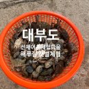 지족어촌체험마을 | 대부도 선재 어촌체험마을 해루질 갯벌체험 후기