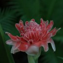 관음사 입구 이미지