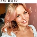 세터 이미지