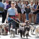 바우바우 이미지