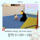 [26.02.12.] 찰떡일기 (60) :: D+281~287 아빠랑 짐보리💕│아빠가 출장갔어요│아빠 러버의 아빠 없는...