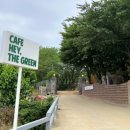 그린애견 이미지