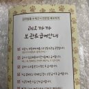 레오까까 이미지