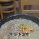 동강의 향기 이미지