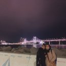 남천2동 | 겨울의 광안대교