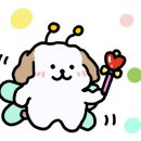 지축오투동물의료센터 이미지