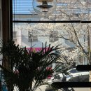 해도동행정복지센터(1층) | 포항 힙한 감성의 카페 ”스탠드 레이지” | 포항 신상 카페, 포항 해도동 카페, 포항 힙한카페