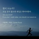 은광사