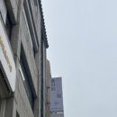 플라비부산 이미지