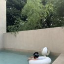 플랜티풀랜드 이미지