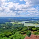 보강천 미루나무숲 이미지