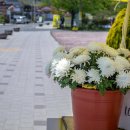 화포천마을 이미지