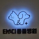 티앤디 동물병원 | 🐾 서집사의 동물 병원 이야기 : 청주티앤디동물병원