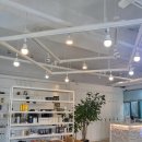 중앙전기조명 이미지