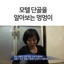 모텔알 이미지